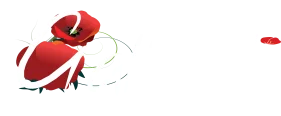 Gallipoli White